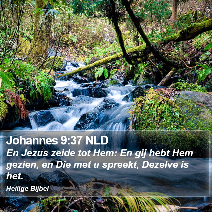 Johannes 9:37 NLD Bible Study