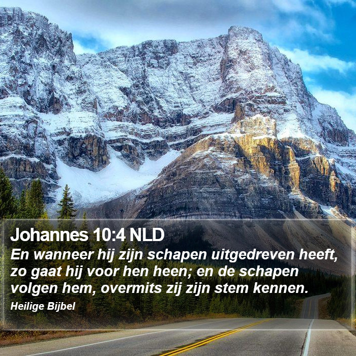 Johannes 10:4 NLD Bible Study