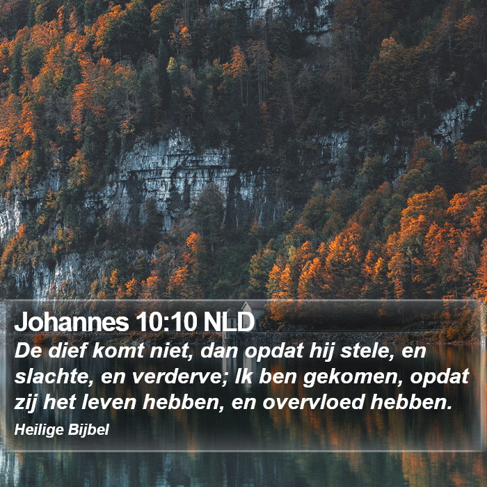 Johannes 10:10 NLD Bible Study