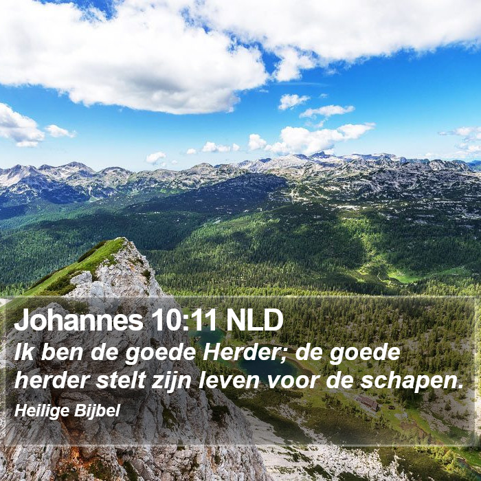 Johannes 10:11 NLD Bible Study