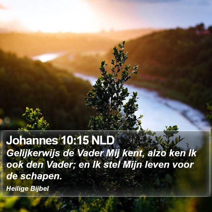 Johannes 10:15 NLD Bible Study