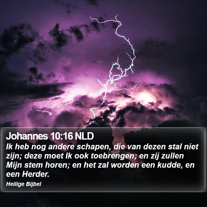 Johannes 10:16 NLD Bible Study