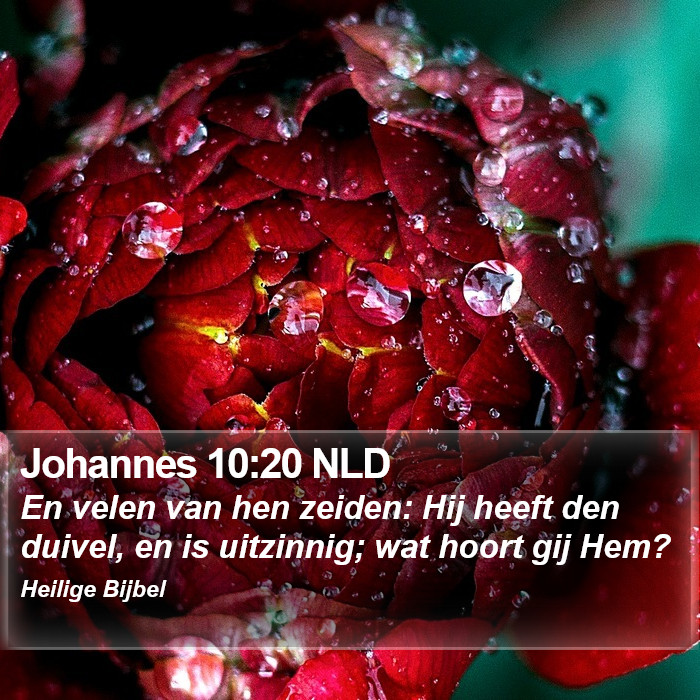 Johannes 10:20 NLD Bible Study