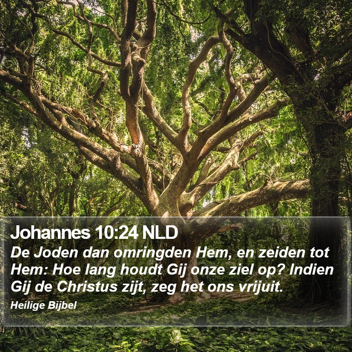 Johannes 10:24 NLD Bible Study