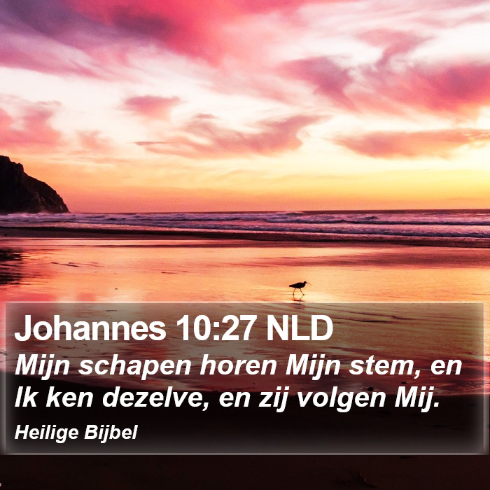 Johannes 10:27 NLD Bible Study