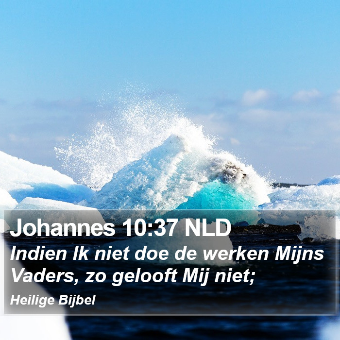 Johannes 10:37 NLD Bible Study