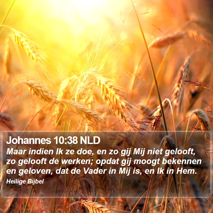 Johannes 10:38 NLD Bible Study