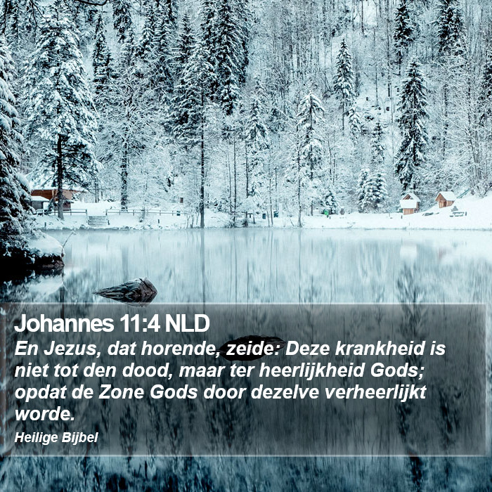 Johannes 11:4 NLD Bible Study