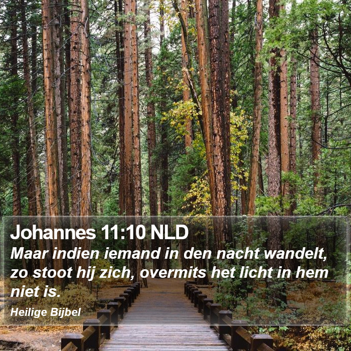 Johannes 11:10 NLD Bible Study