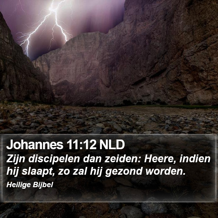 Johannes 11:12 NLD Bible Study