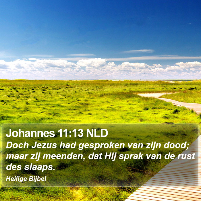 Johannes 11:13 NLD Bible Study