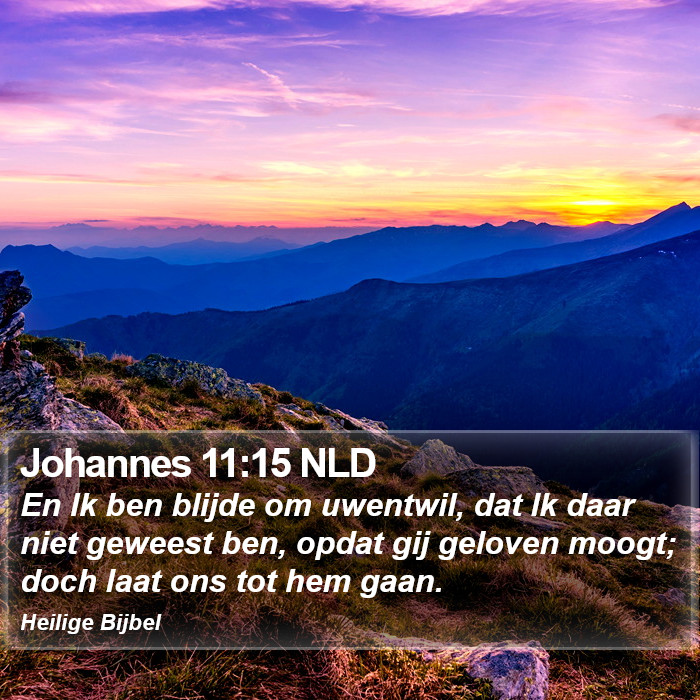 Johannes 11:15 NLD Bible Study