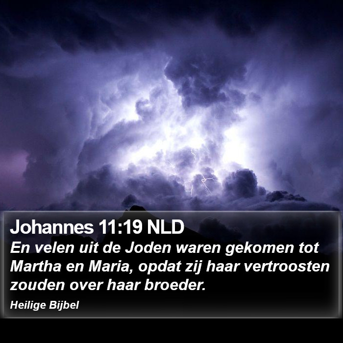 Johannes 11:19 NLD Bible Study