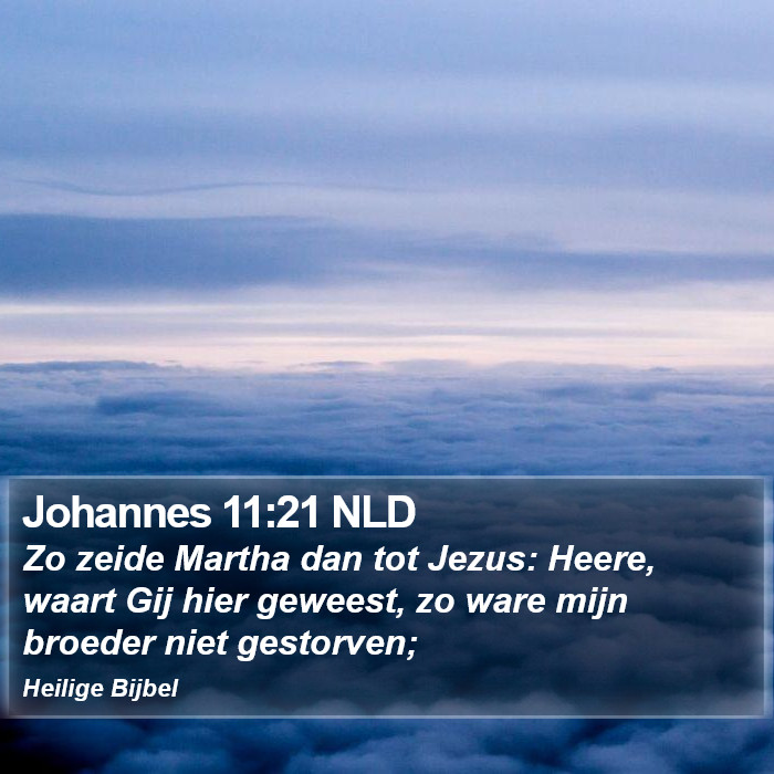 Johannes 11:21 NLD Bible Study