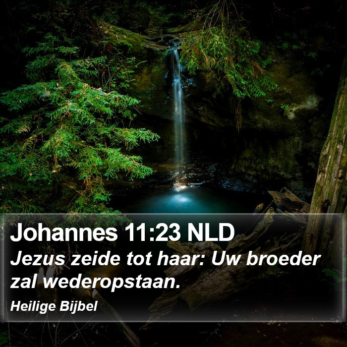 Johannes 11:23 NLD Bible Study