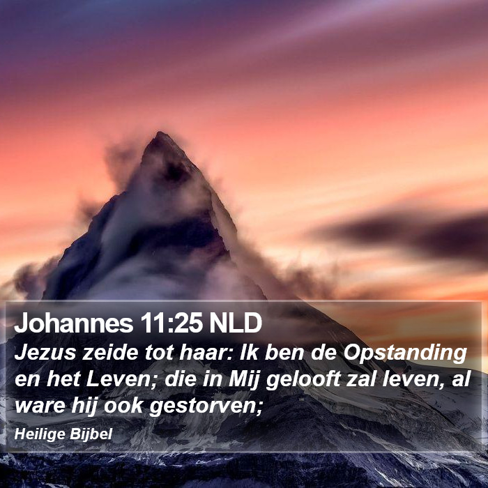 Johannes 11:25 NLD Bible Study