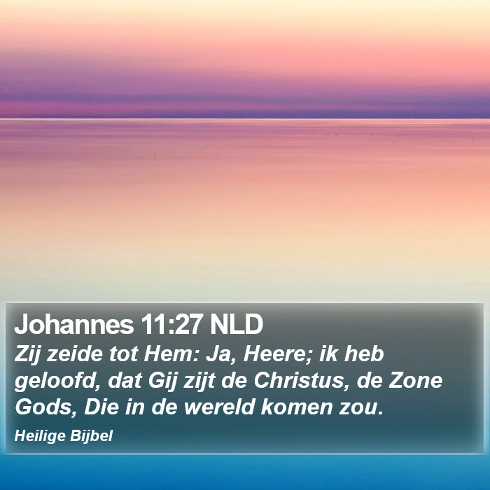 Johannes 11:27 NLD Bible Study