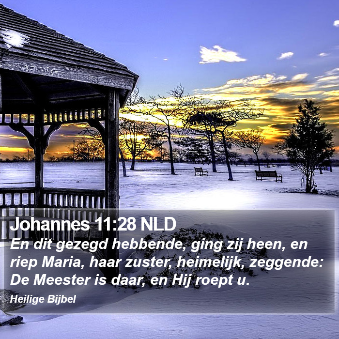 Johannes 11:28 NLD Bible Study