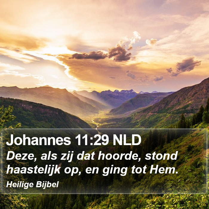 Johannes 11:29 NLD Bible Study