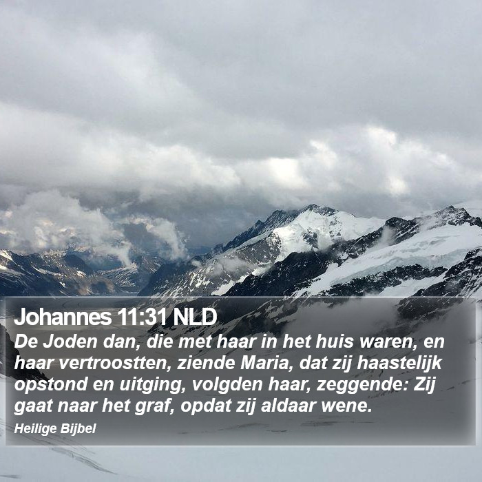 Johannes 11:31 NLD Bible Study