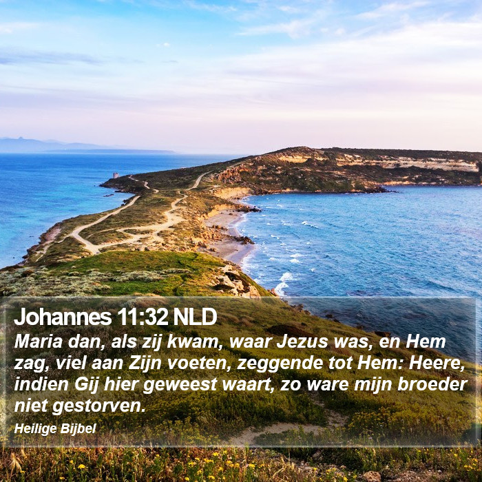 Johannes 11:32 NLD Bible Study