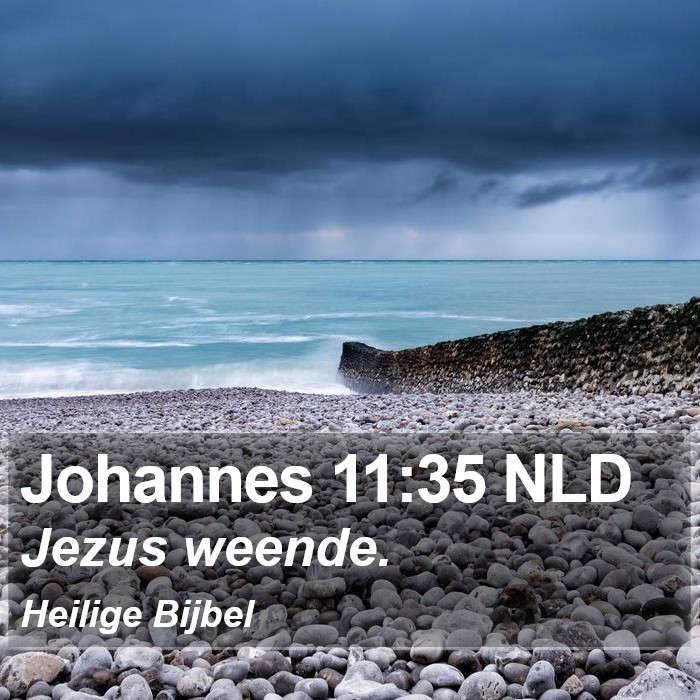 Johannes 11:35 NLD Bible Study