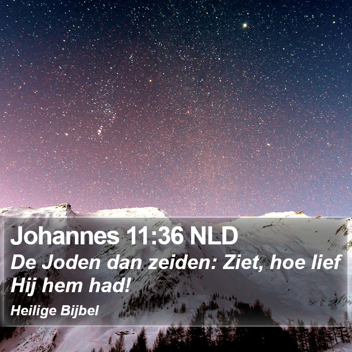 Johannes 11:36 NLD Bible Study