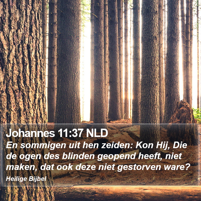 Johannes 11:37 NLD Bible Study