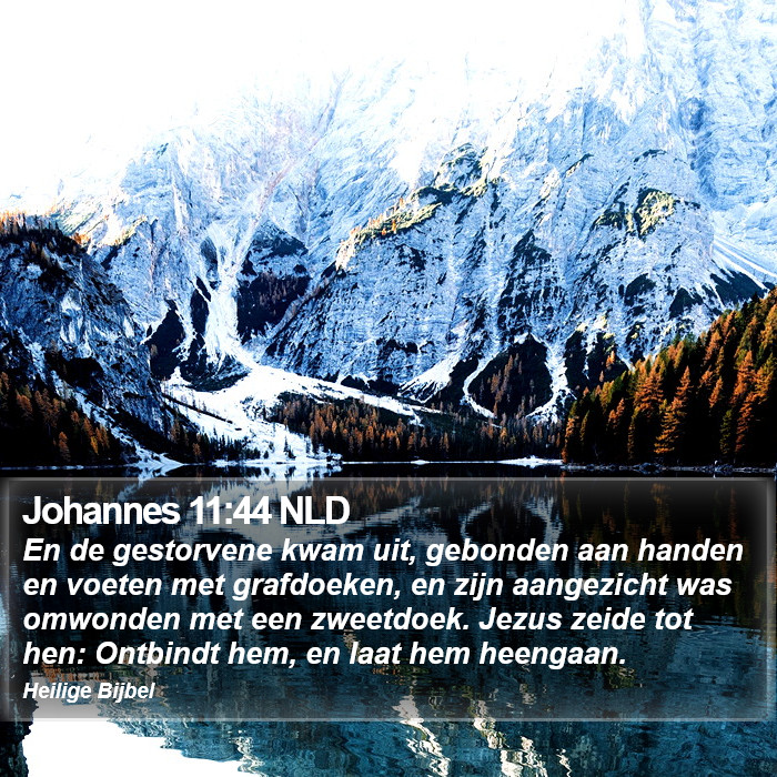 Johannes 11:44 NLD Bible Study