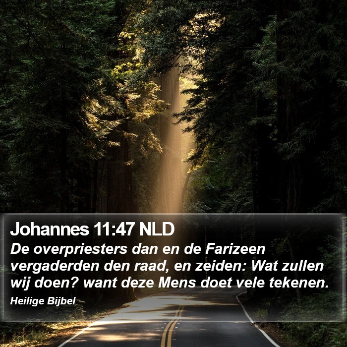 Johannes 11:47 NLD Bible Study