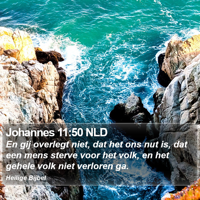 Johannes 11:50 NLD Bible Study