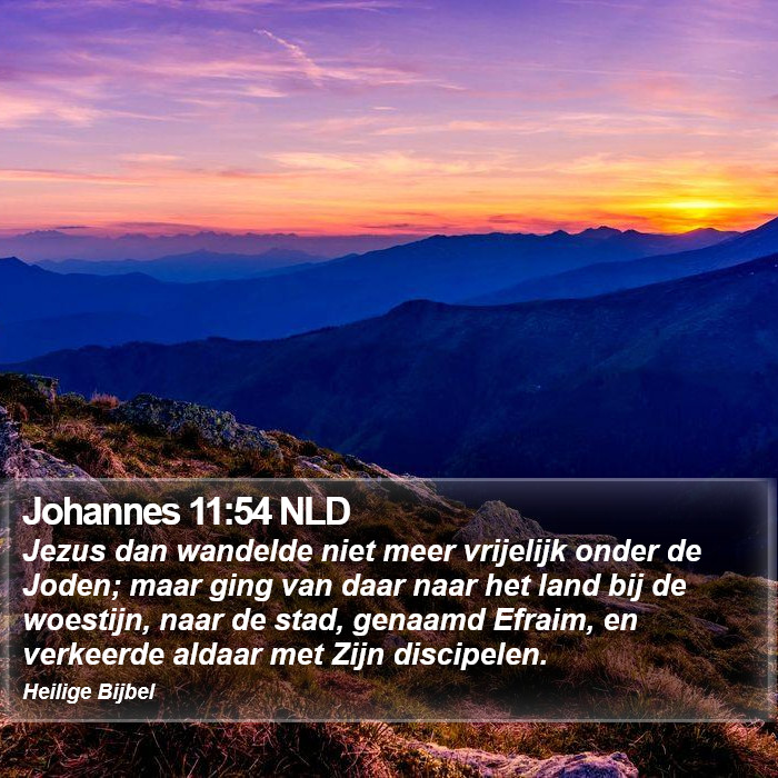 Johannes 11:54 NLD Bible Study