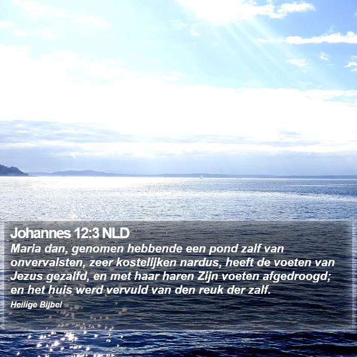 Johannes 12:3 NLD Bible Study