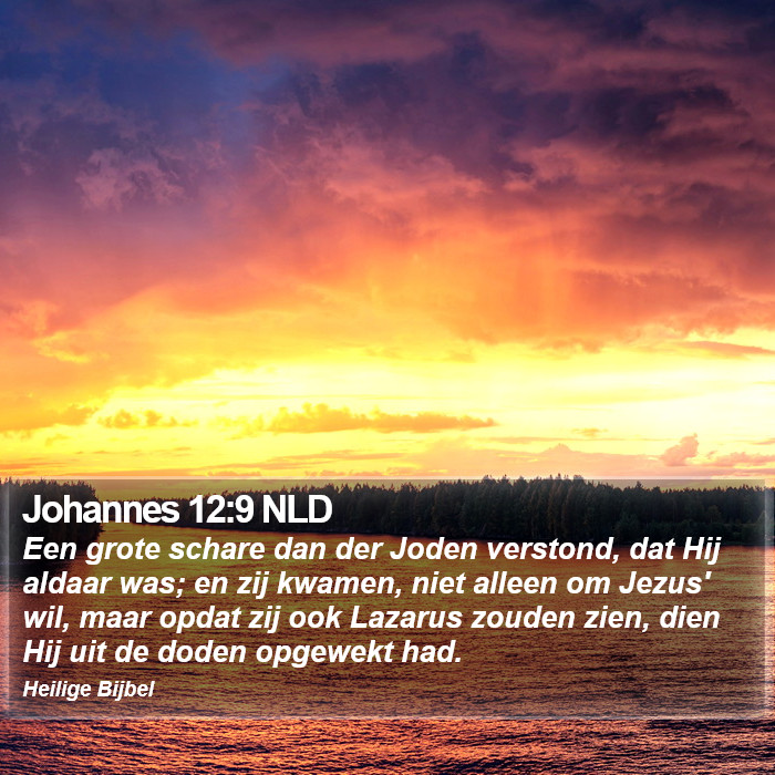 Johannes 12:9 NLD Bible Study