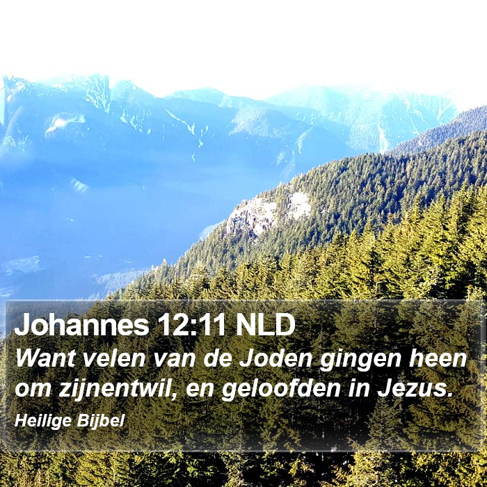 Johannes 12:11 NLD Bible Study