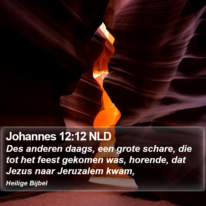 Johannes 12:12 NLD Bible Study