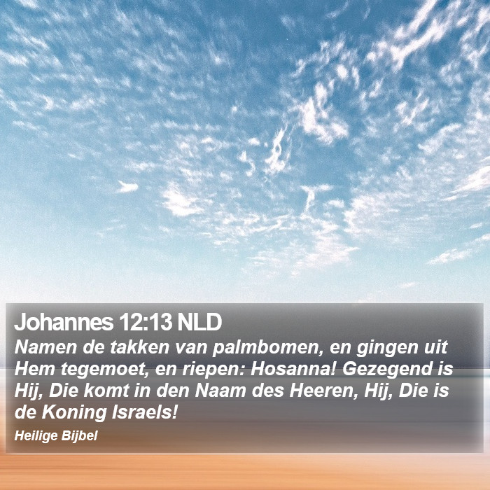 Johannes 12:13 NLD Bible Study