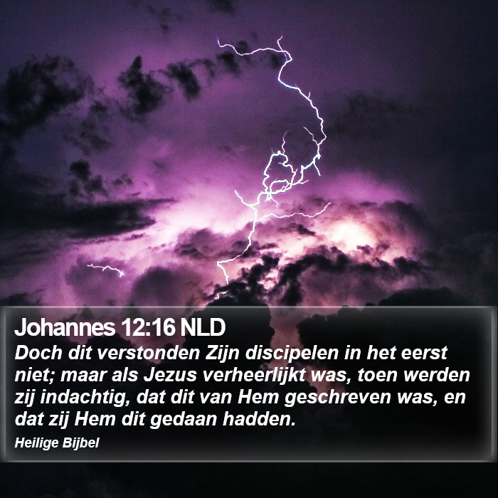 Johannes 12:16 NLD Bible Study