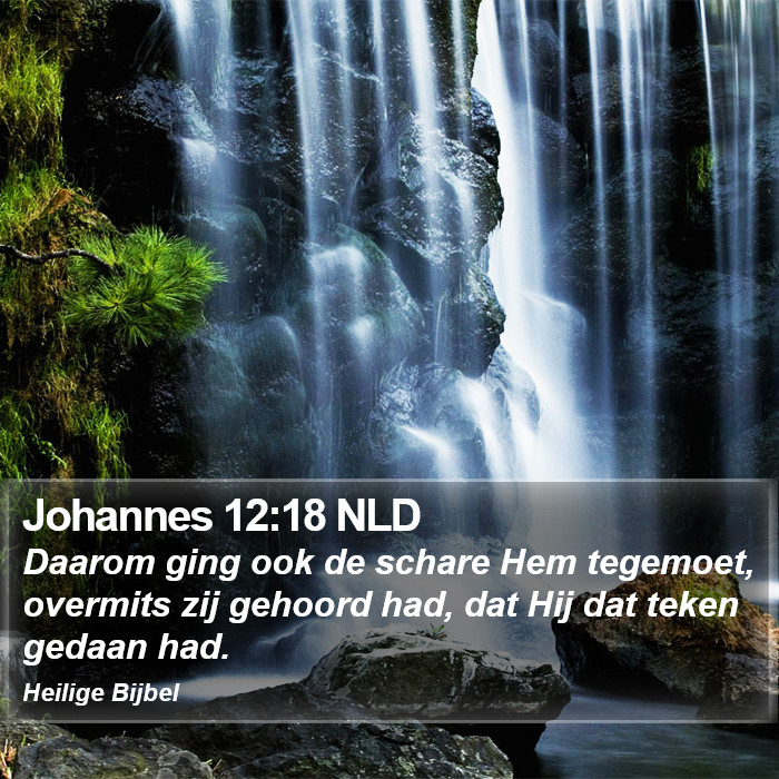 Johannes 12:18 NLD Bible Study