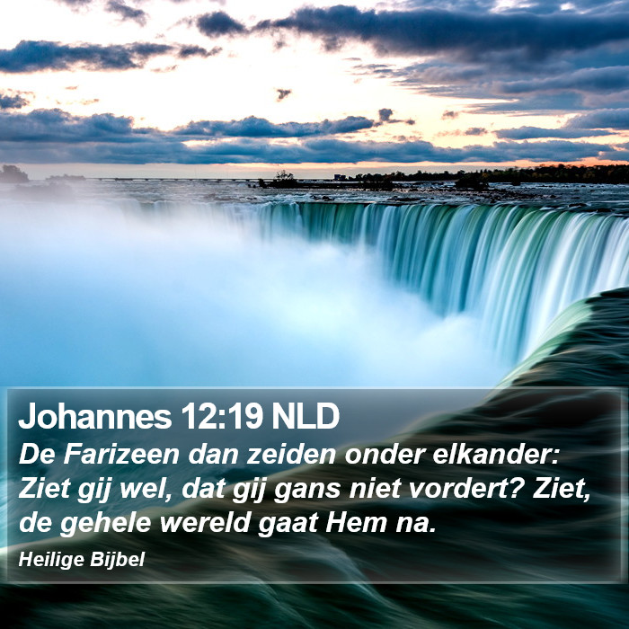 Johannes 12:19 NLD Bible Study