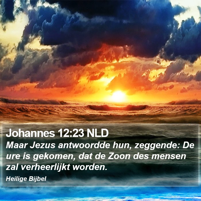 Johannes 12:23 NLD Bible Study