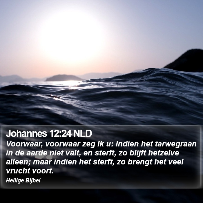 Johannes 12:24 NLD Bible Study