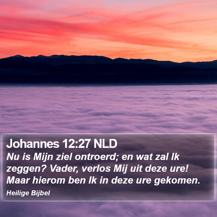 Johannes 12:27 NLD Bible Study