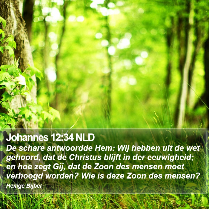 Johannes 12:34 NLD Bible Study