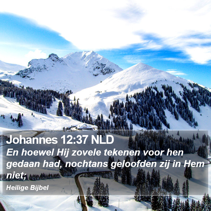 Johannes 12:37 NLD Bible Study