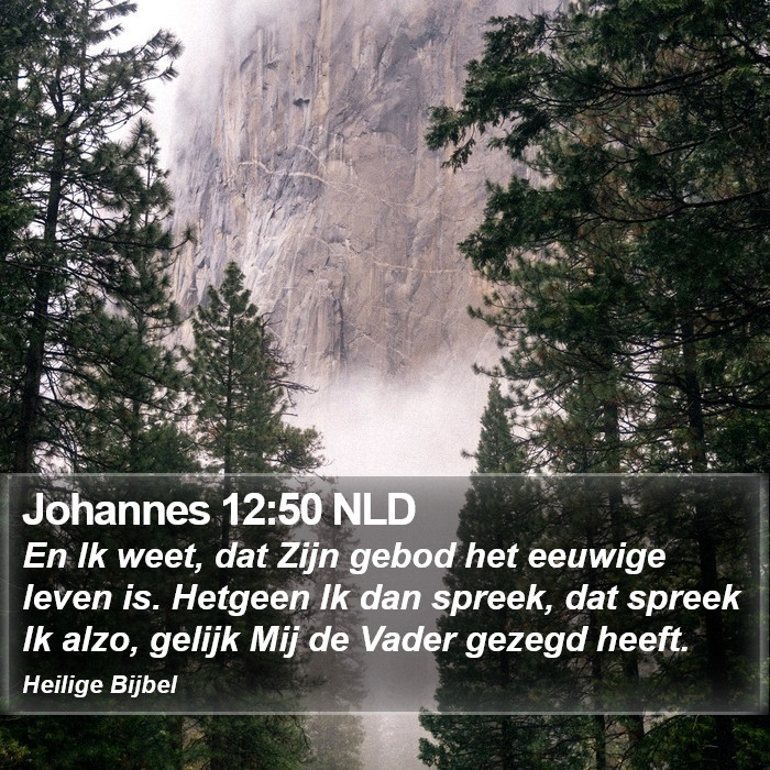 Johannes 12:50 NLD Bible Study