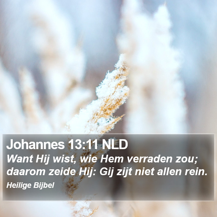 Johannes 13:11 NLD Bible Study