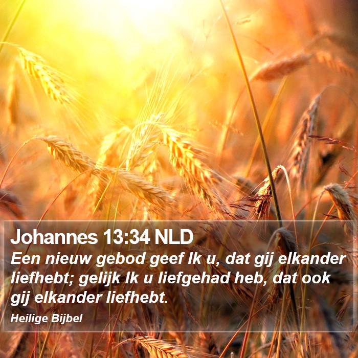 Johannes 13:34 NLD Bible Study