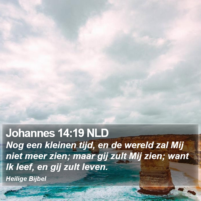 Johannes 14:19 NLD Bible Study