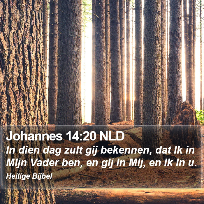 Johannes 14:20 NLD Bible Study